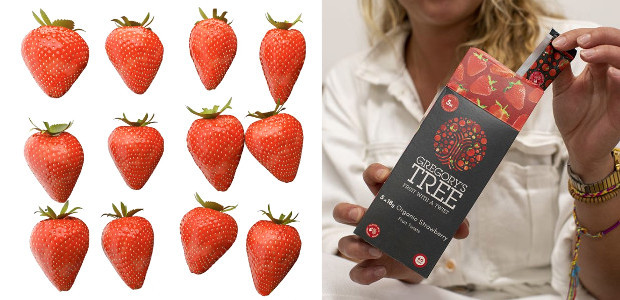 Gregory’s Tree, the fruit-based snack bar brand is excited to […]