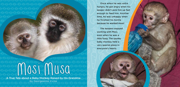 BOOK > From San Diego Zoo >> Mosi Musa, a […]