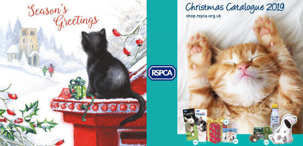 12 gifts of Christmas help animals in need Gifts for […]
